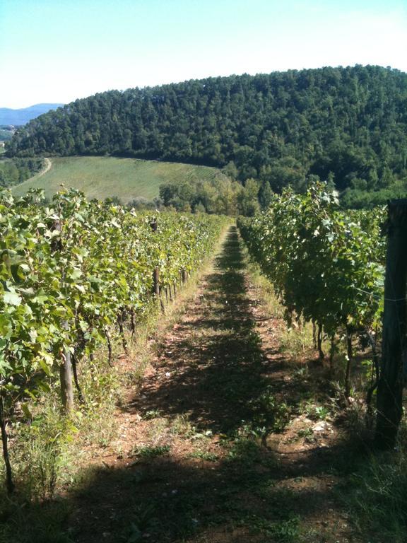 Winery Houses In Chianti Mercatale Val Di Pesa Room photo